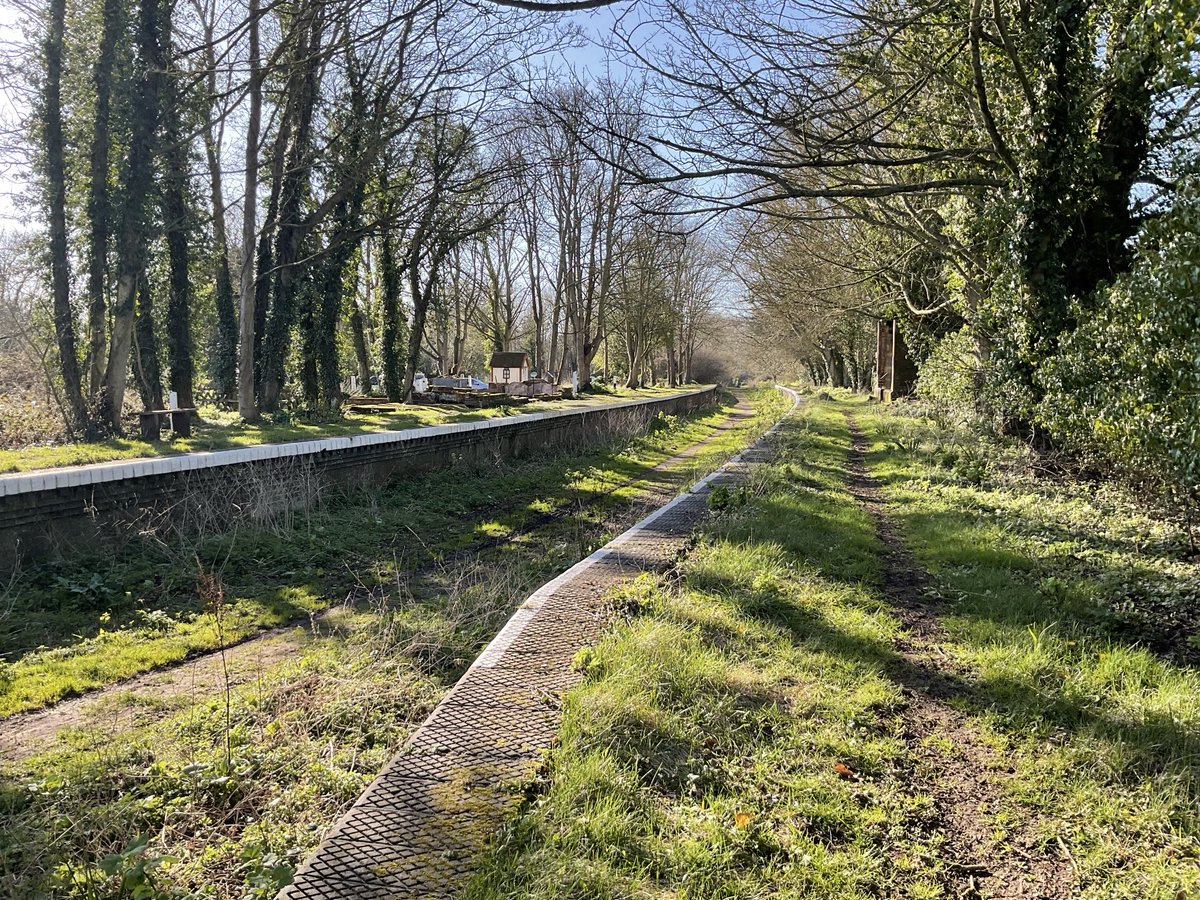 Tales From The Battlefields Podcast tweet media