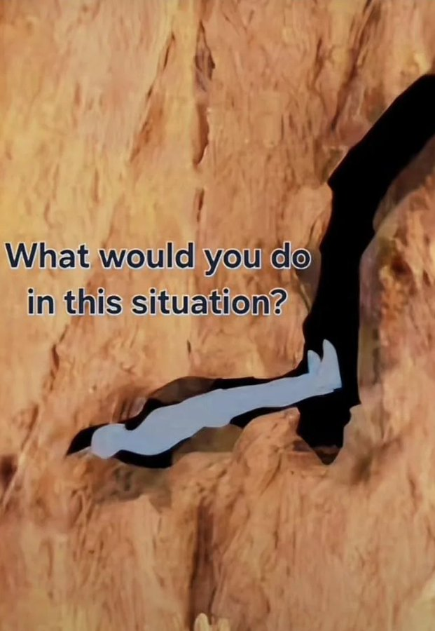 Community Notes & Violations tweet media