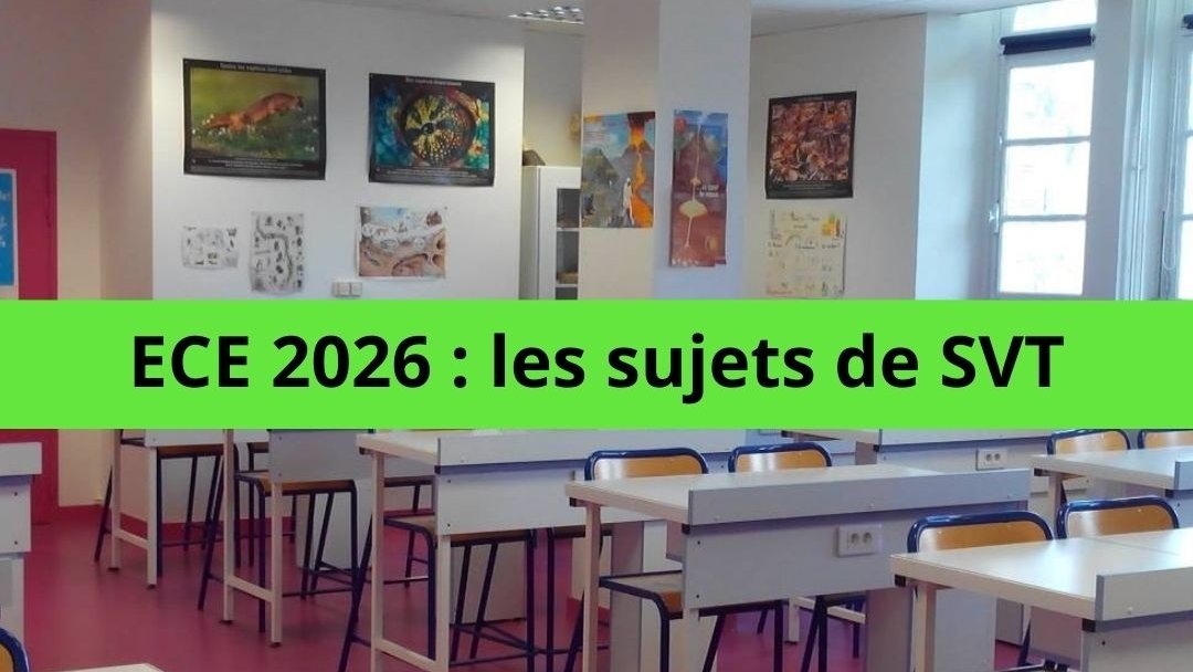 Julien Cabioch tweet media