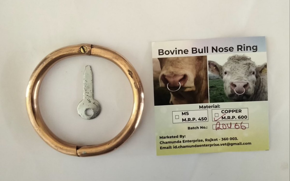 Alison Cr tweet media