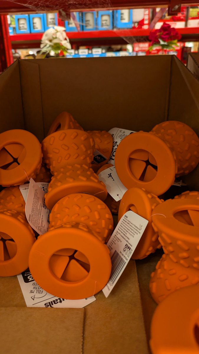 BEERBOY 💙 tweet media