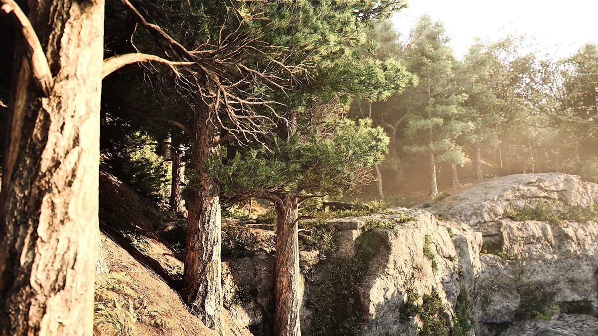 PhotoMode_Raro📷 tweet media