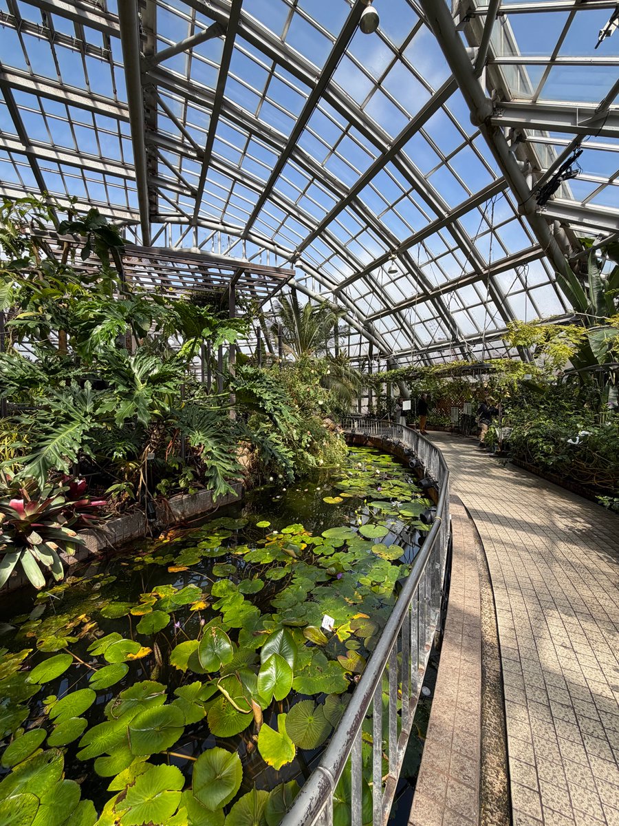 にしうら染✍️ tweet media