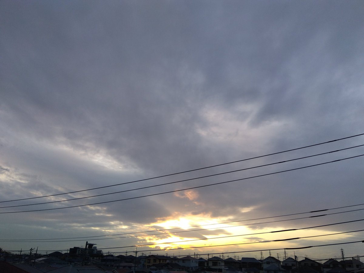 こまり tweet media