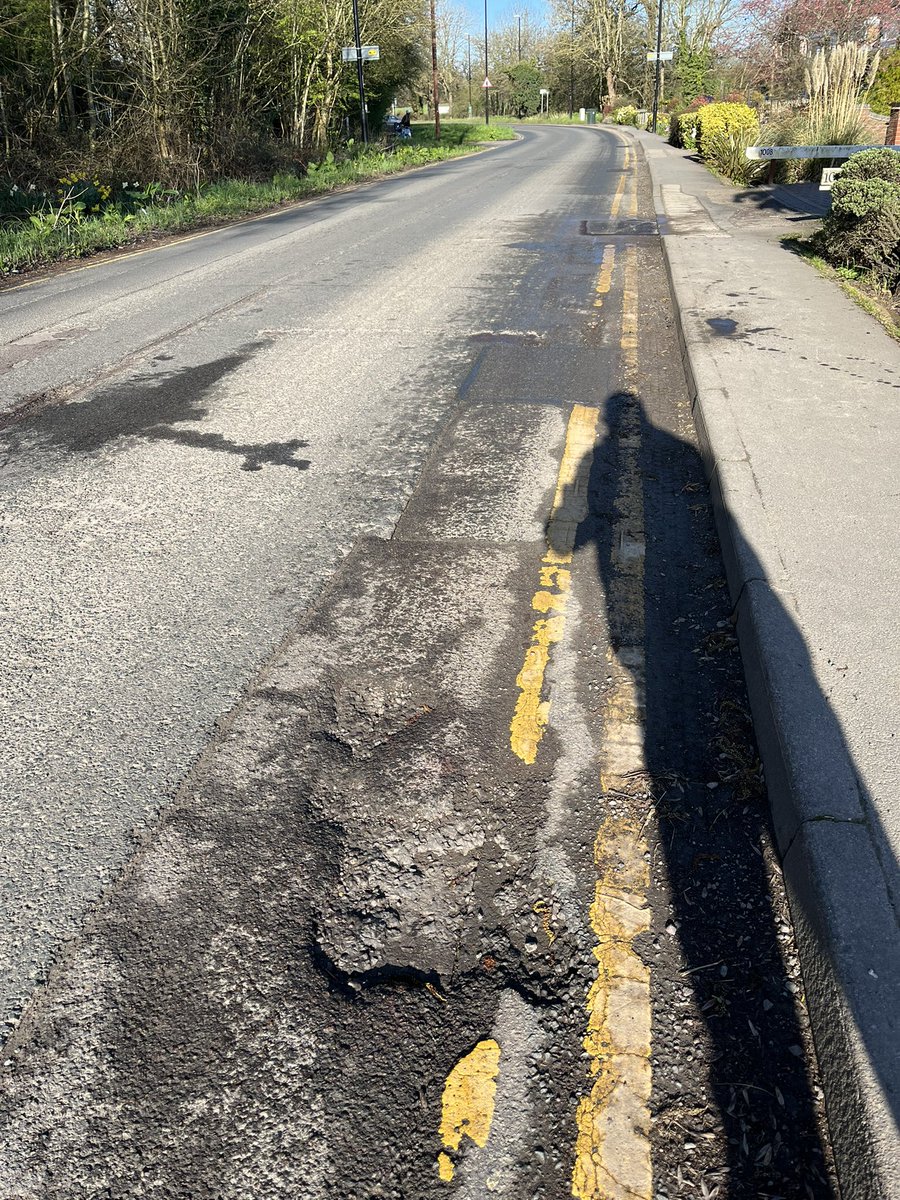 Munco 🩵🐘🩵 tweet media