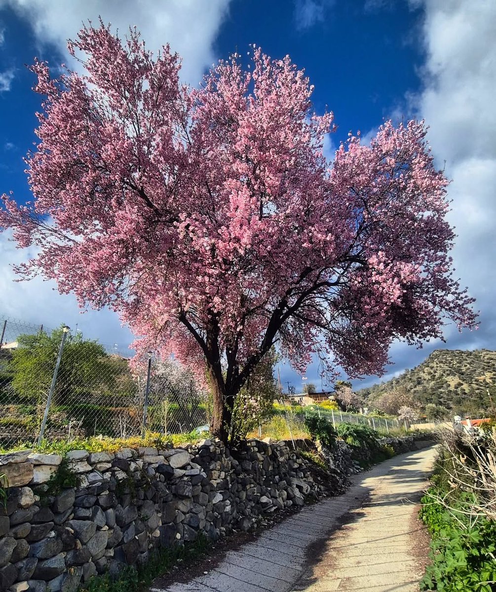 VisitCyprus tweet media