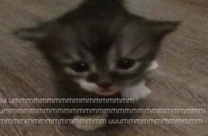 Woodsy Corner. tweet media