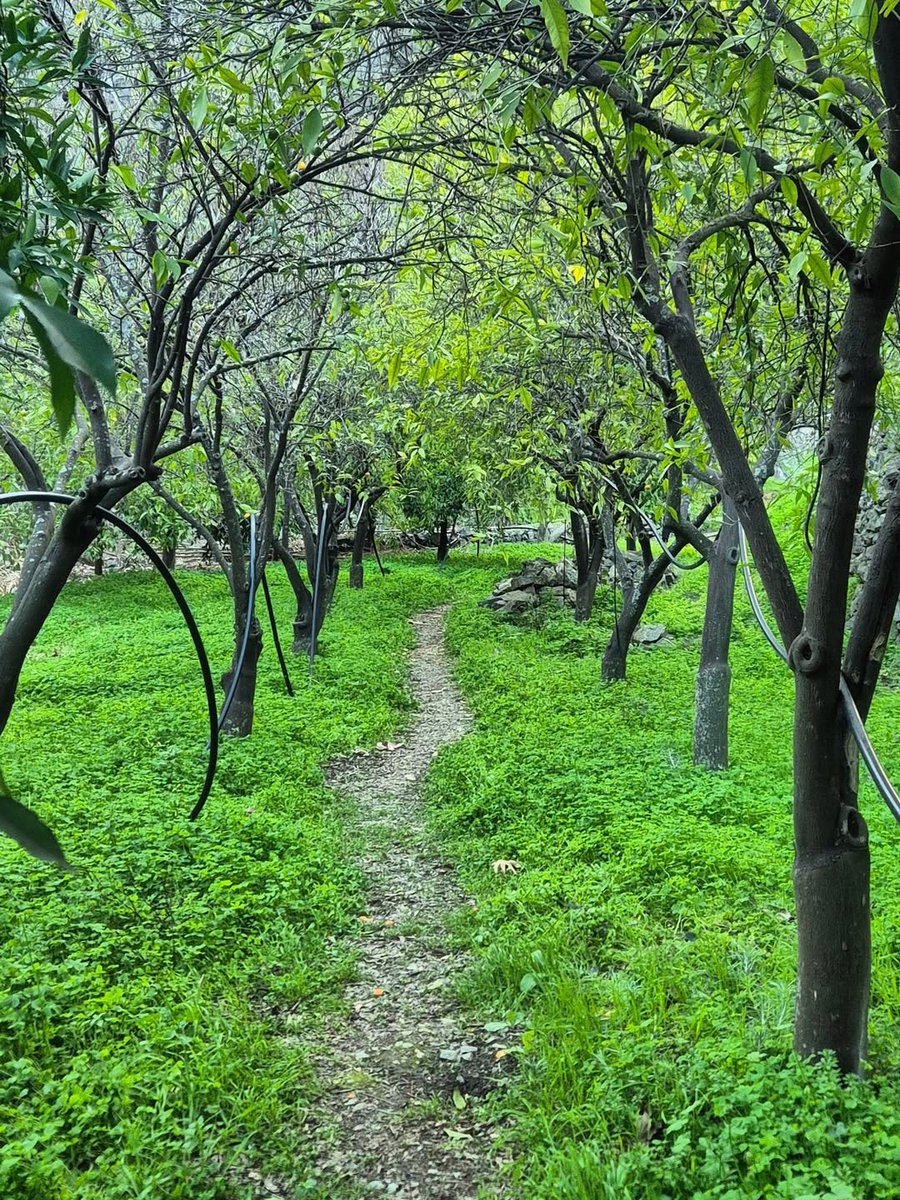 VisitCyprus tweet media