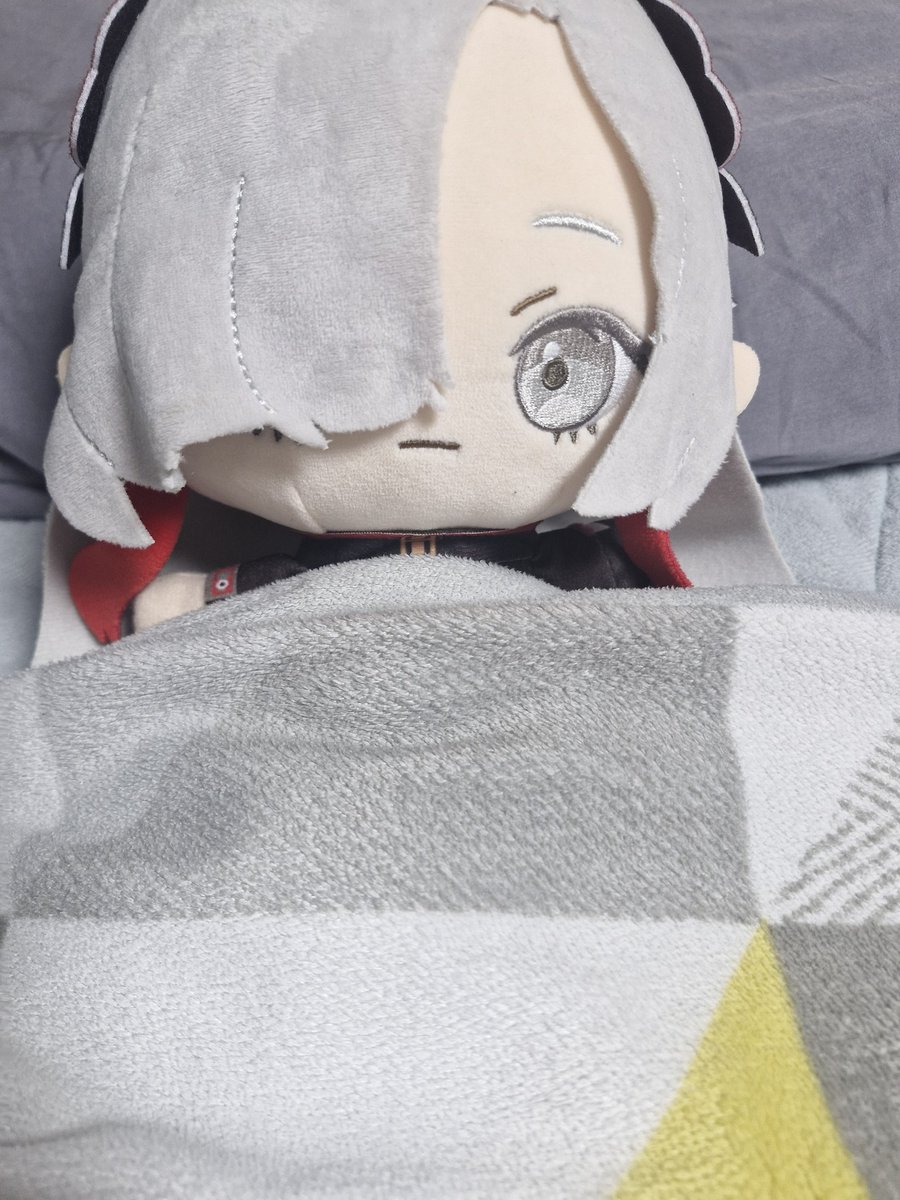 흑화한고양이_anfangen tweet media