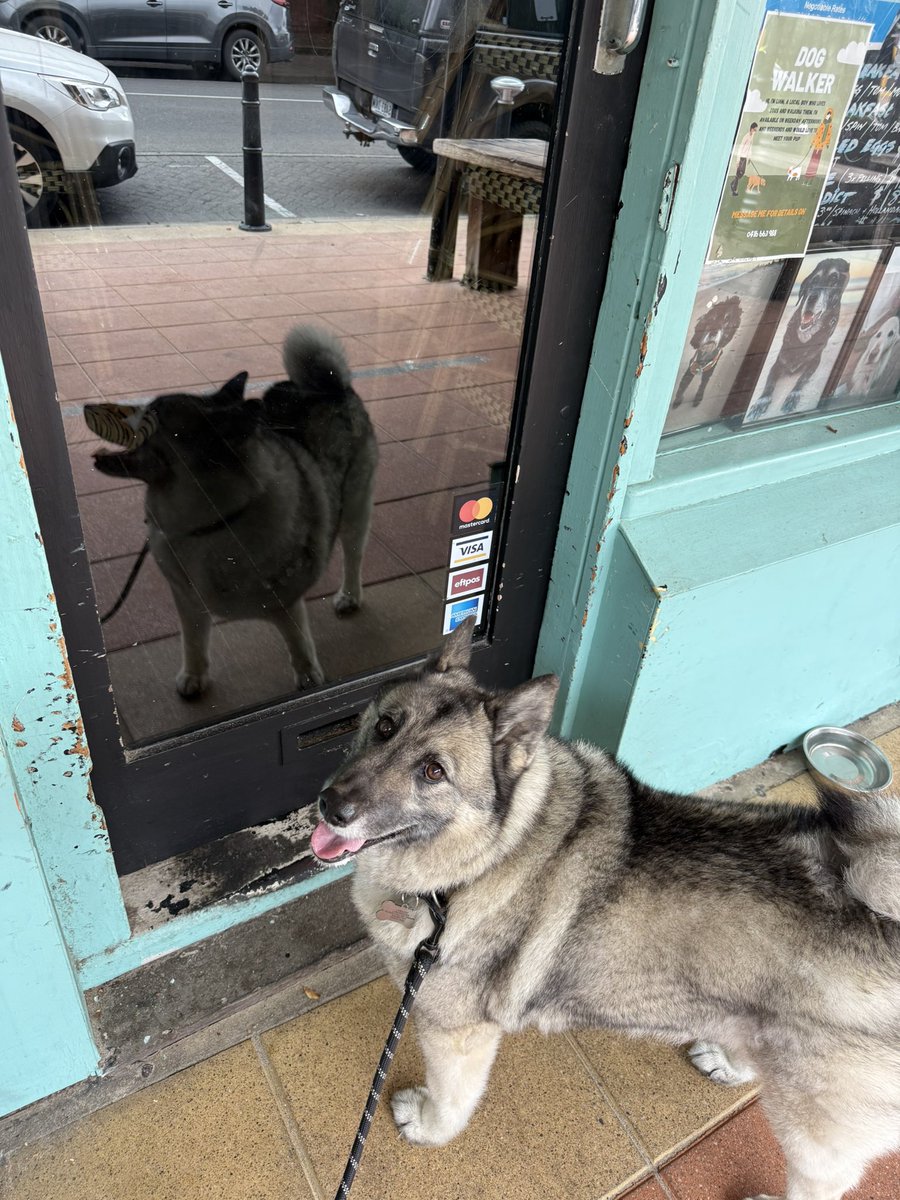 Ex Sergeant Matt B tweet media