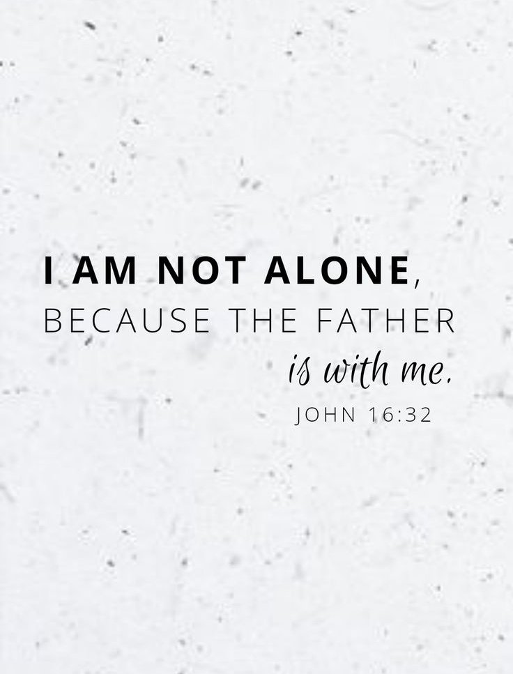 The Bible tweet media