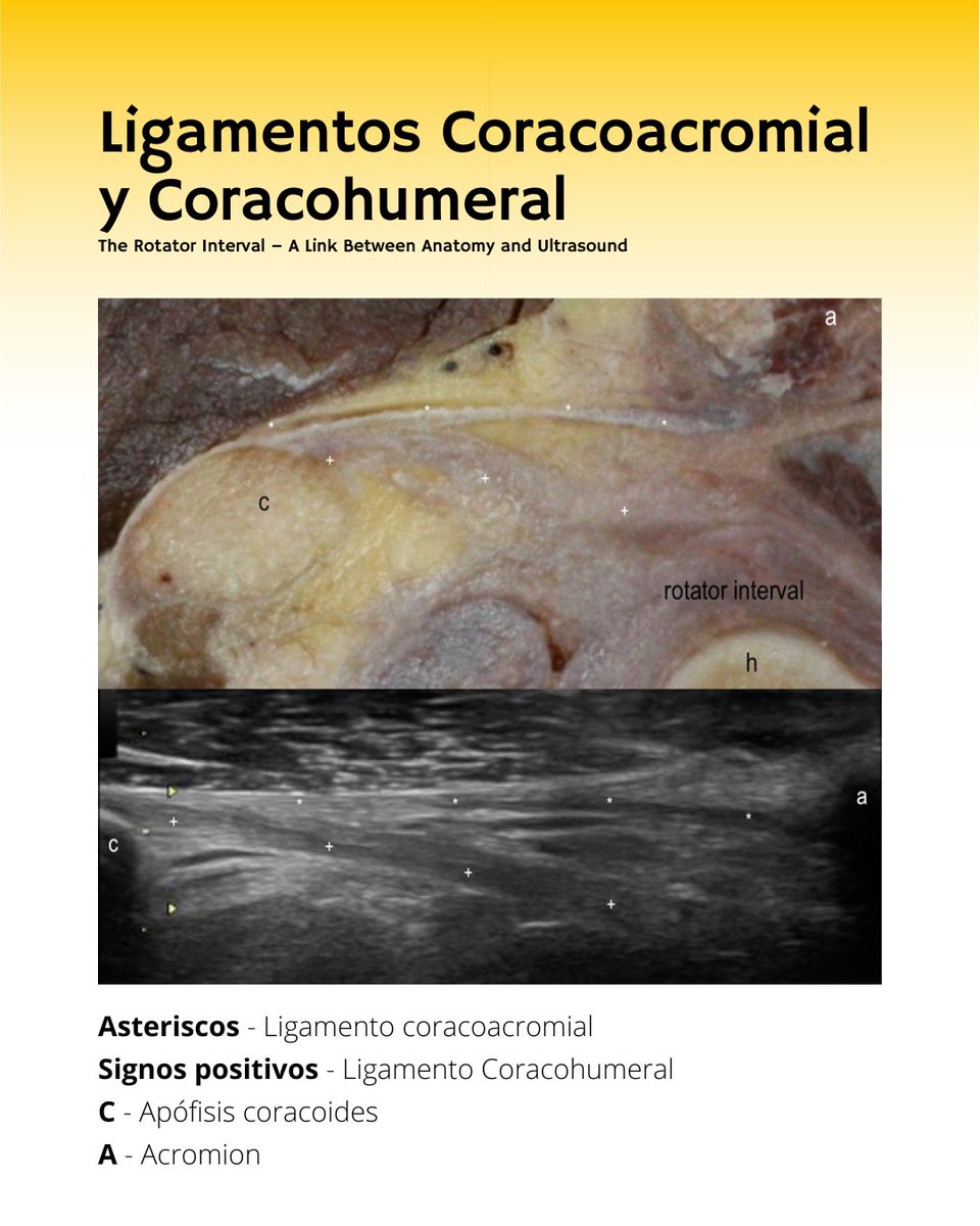 Tempo Formación tweet media