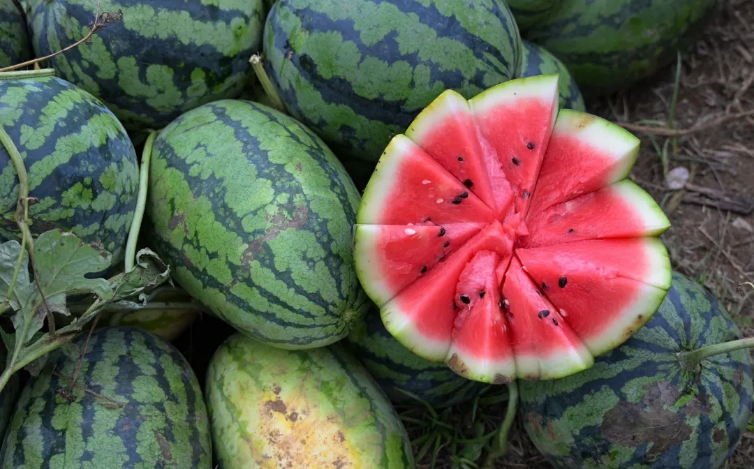 China Science tweet media