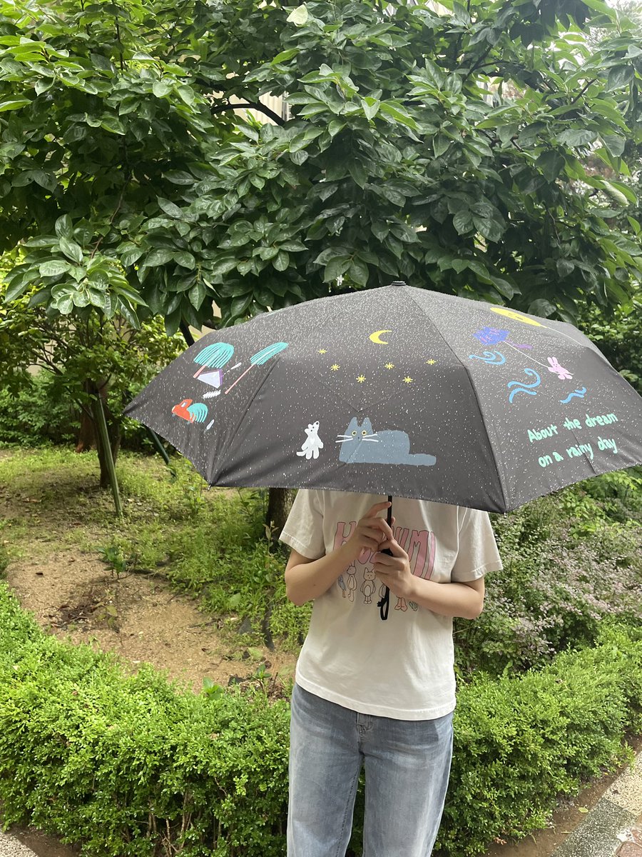 호즈미 tweet media