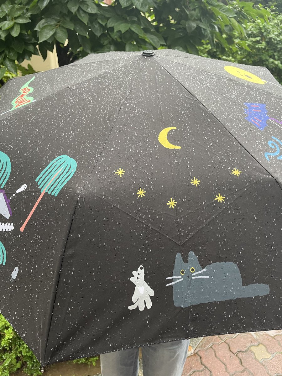 호즈미 tweet media