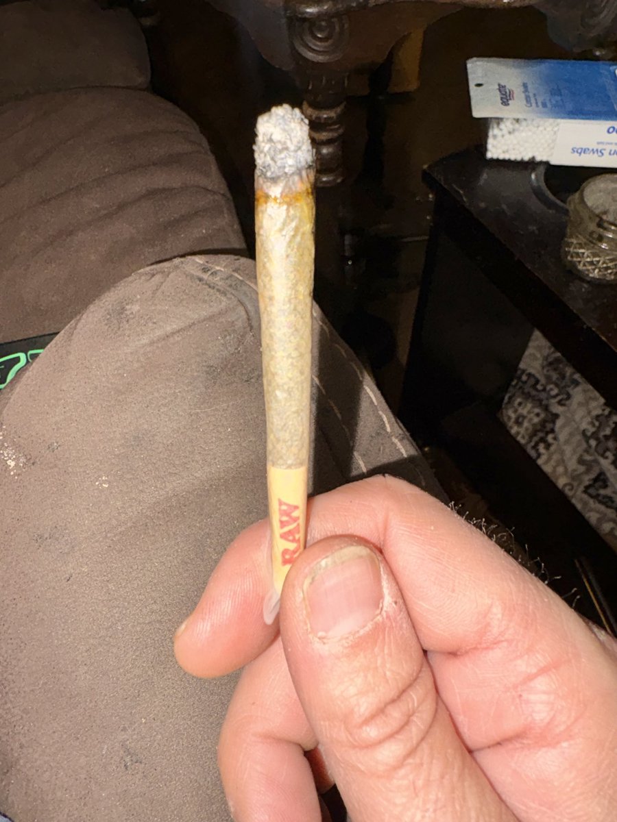 iFlyHigh™ 🎄 tweet media