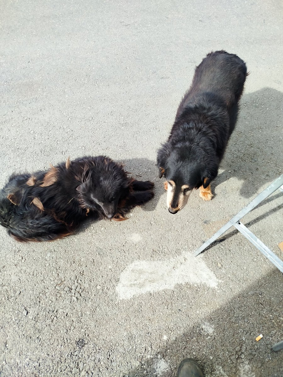 exec 🔸Marconebre🔸 tweet media