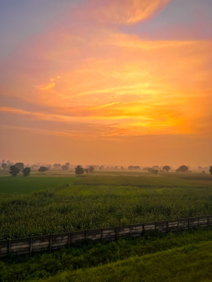 stardust tweet media