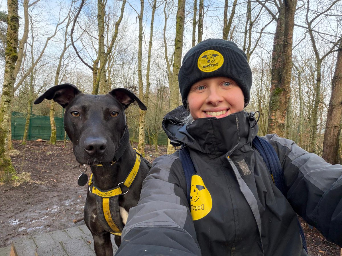 DogsTrust West Calder (Edinburgh) and Dundee tweet media