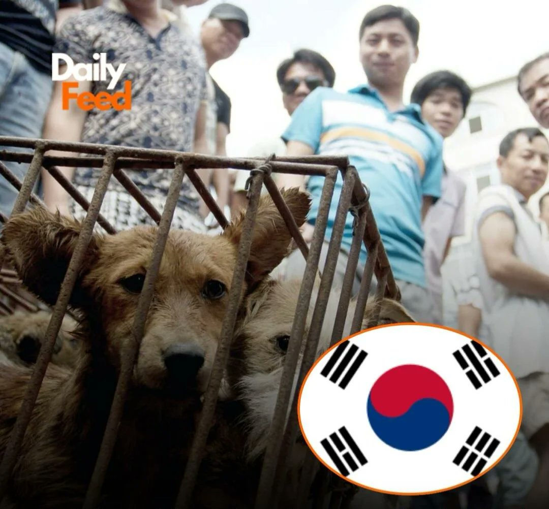 Бывший CTAPЛИHK , подпишись , Коты & Crypto tweet media