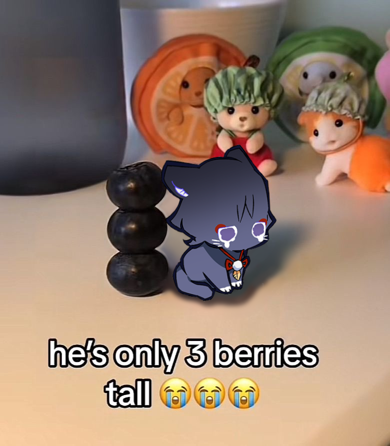 Daily Scaramouche ☂️ tweet media