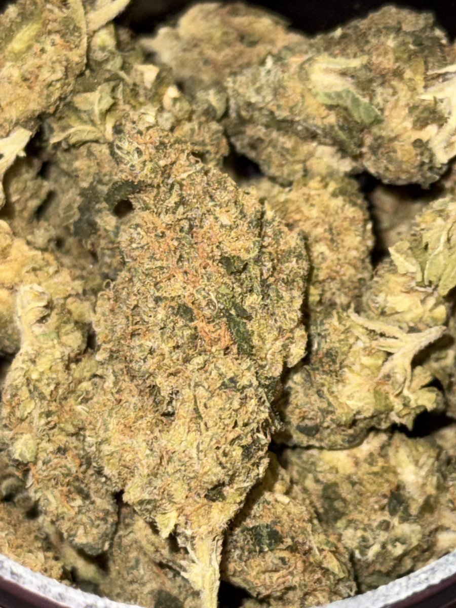 fawn ﾉ bun ˖ . ݁ ໒꒱ tweet media