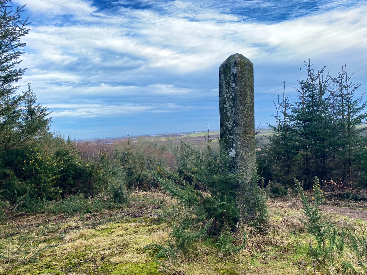 Ailish Sinclair tweet media