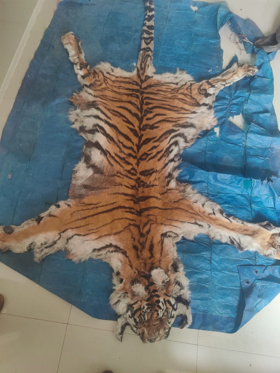 CG Forest & Climate Change Department tweet media