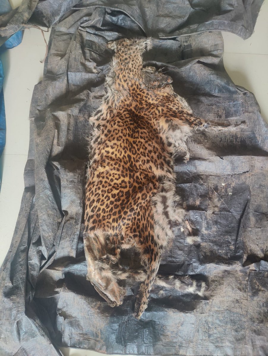 CG Forest & Climate Change Department tweet media