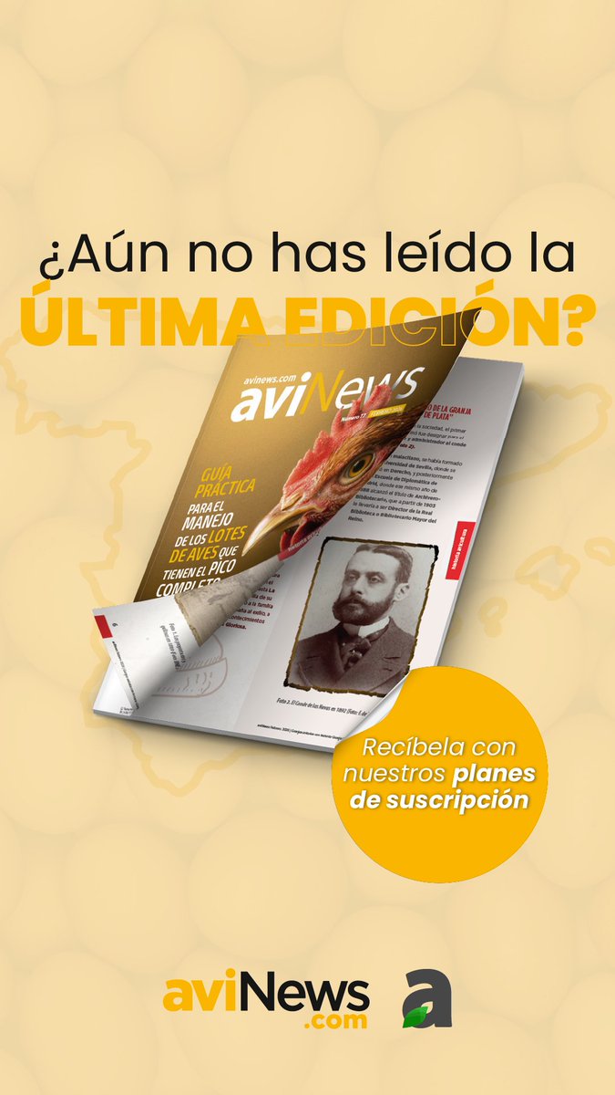 aviNews España - Revista tweet media