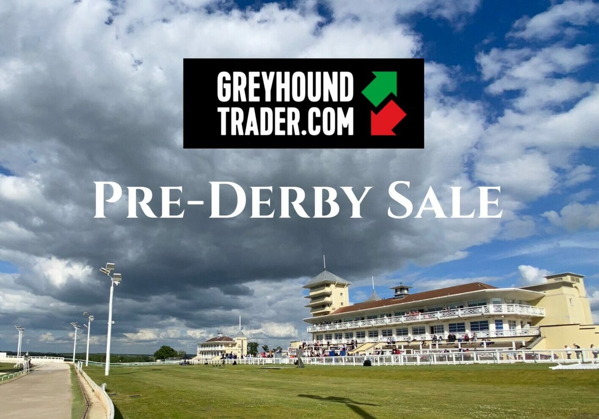 Greyhound Trader tweet media