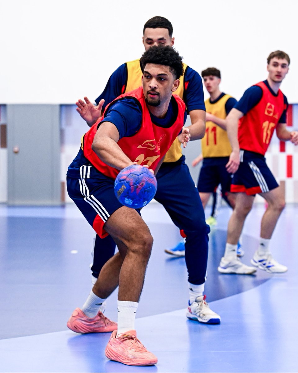 FFHandball tweet media