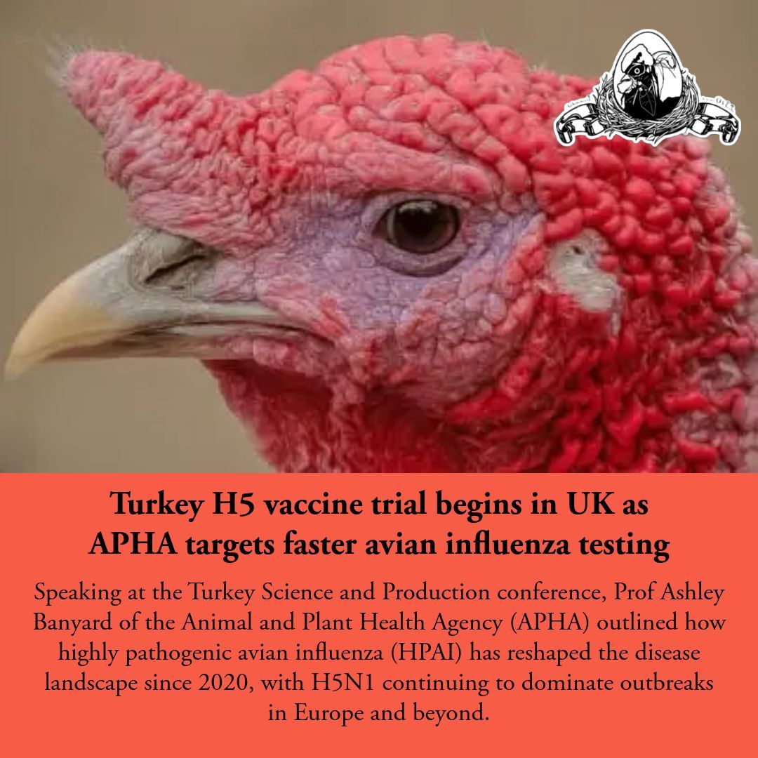 Poultry.Network tweet media