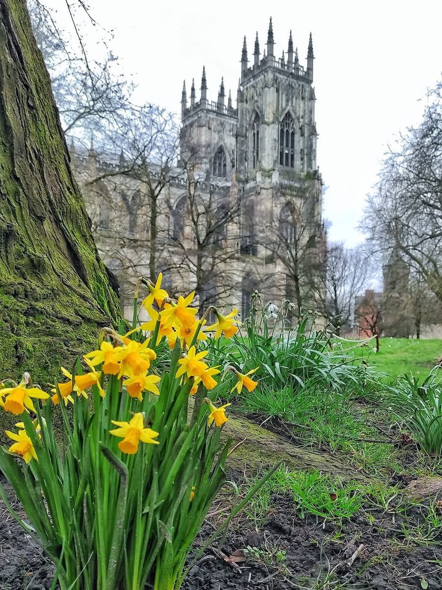 North Yorkshire tweet media