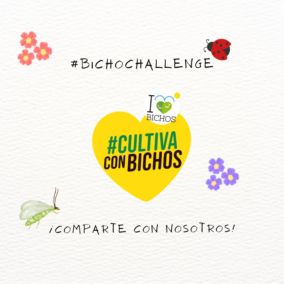 I LOVE BICHOS tweet media