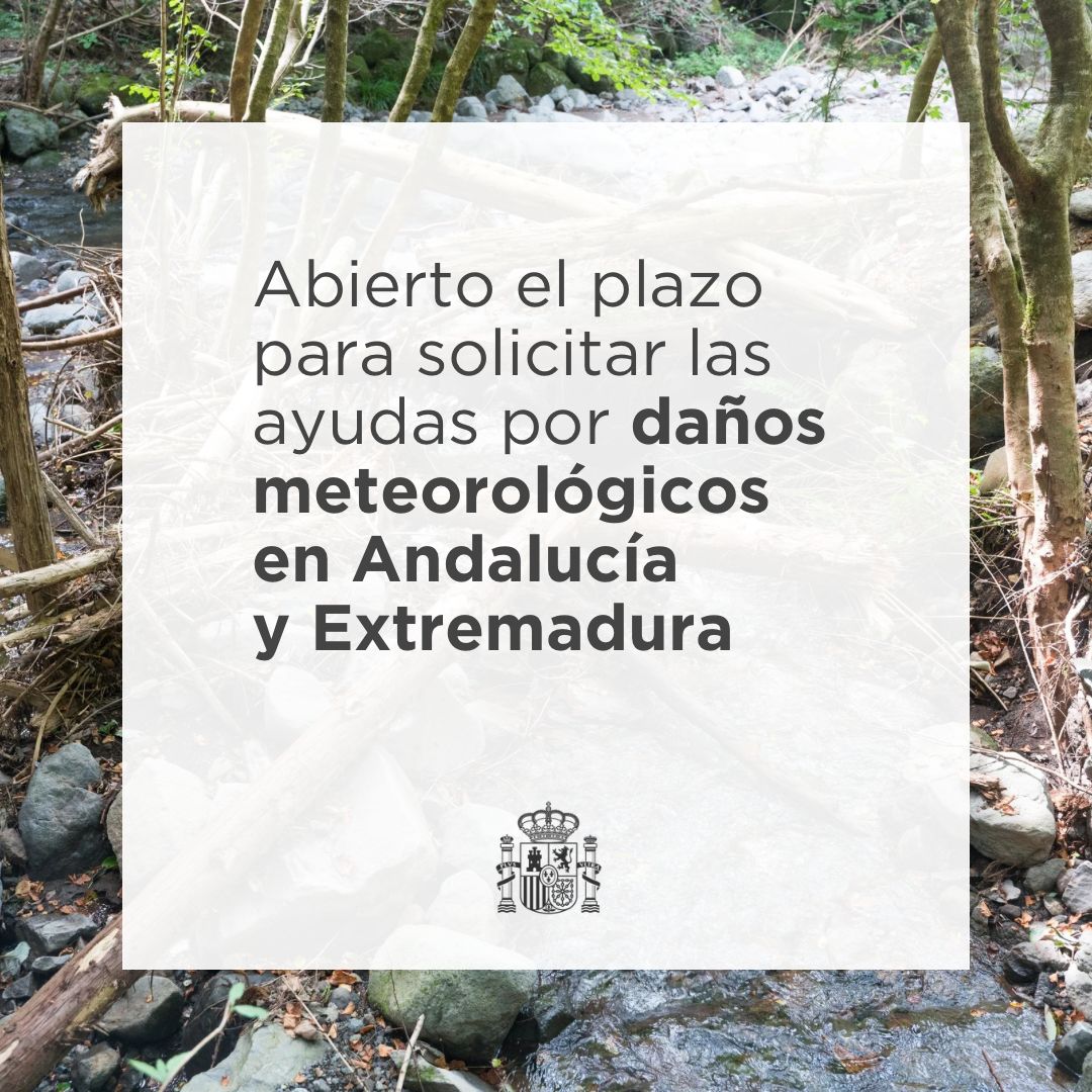 La Moncloa tweet media