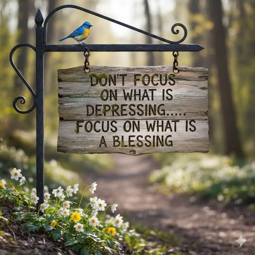 Inspiration & More tweet media