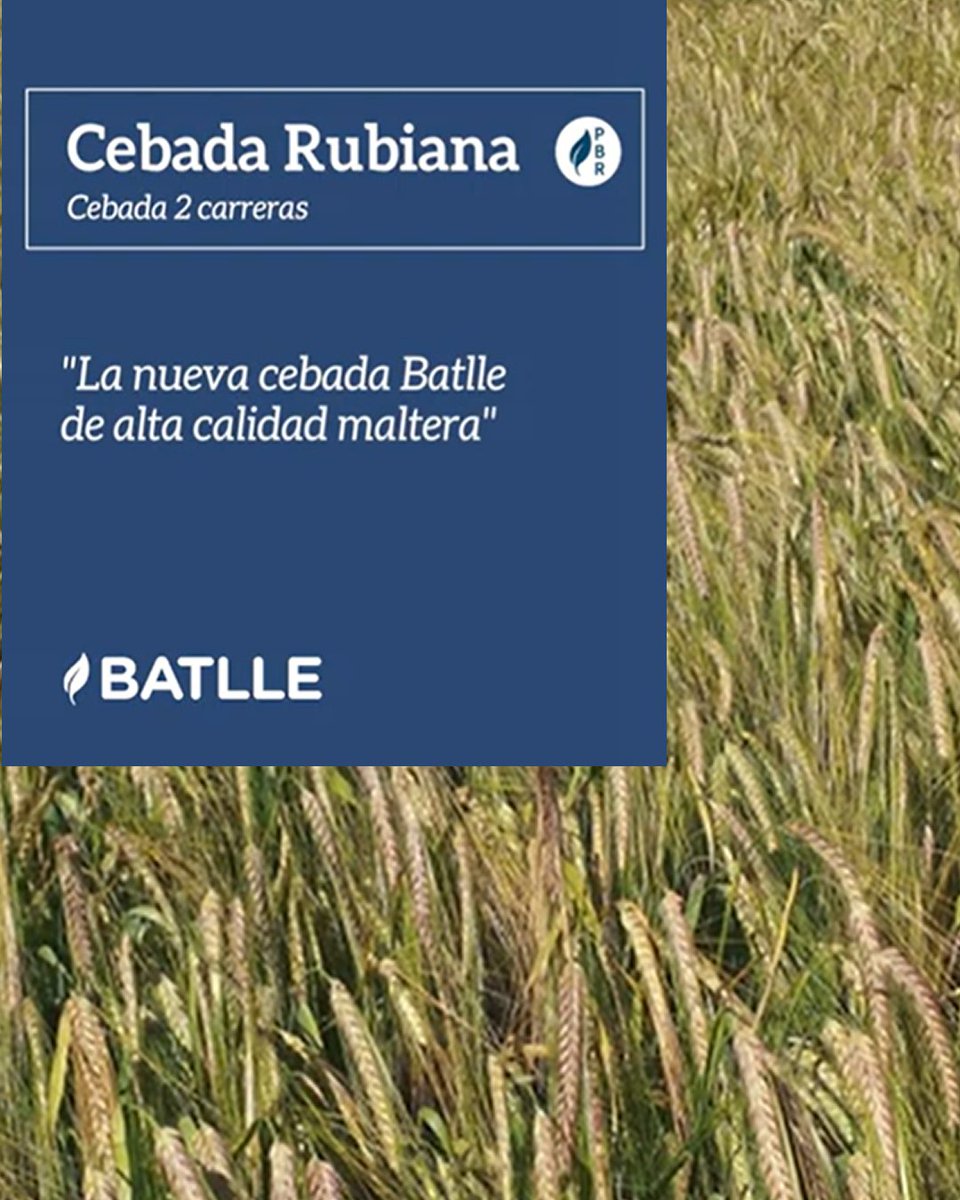 Infoagro tweet media