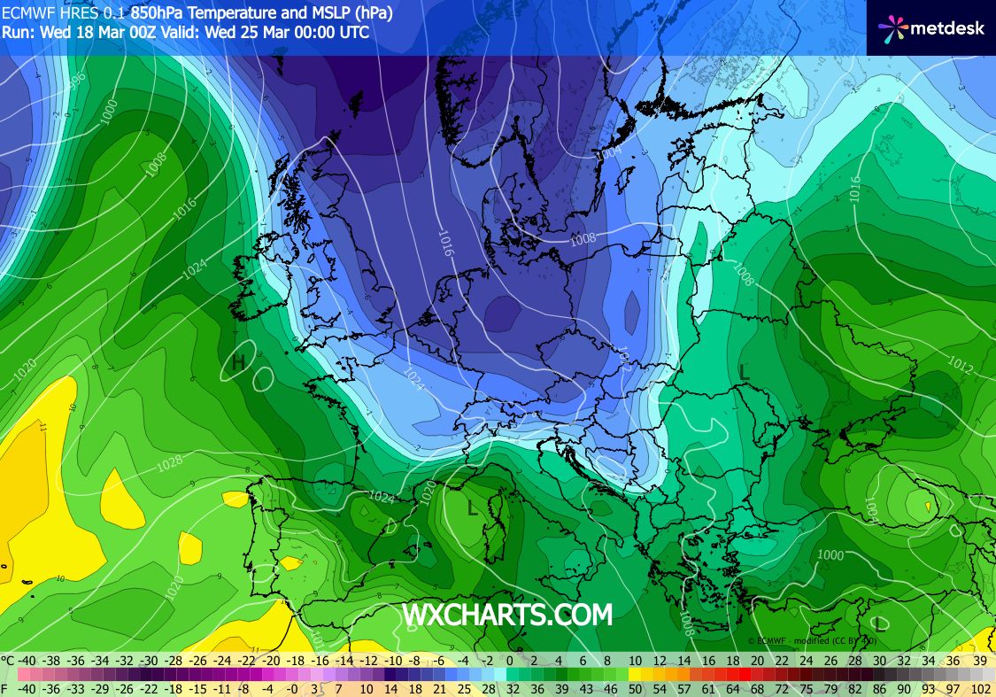 ➡️ Robert de Vries tweet media