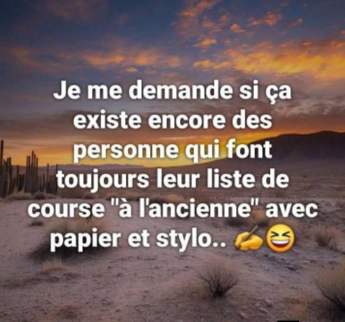 LolitA🌸🦋 tweet media