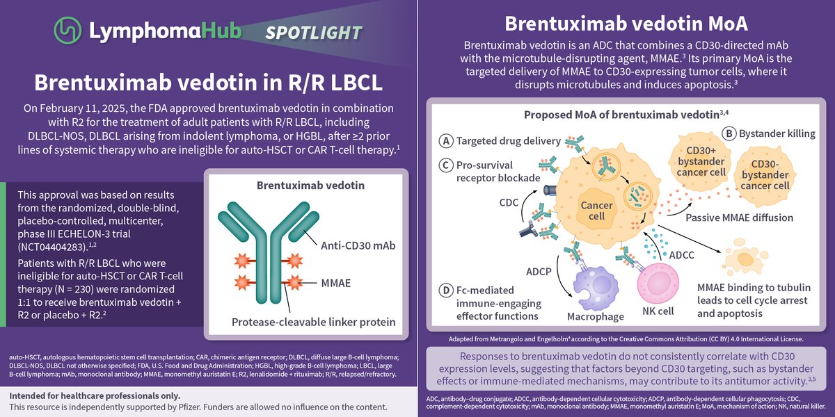Lymphoma Hub tweet media