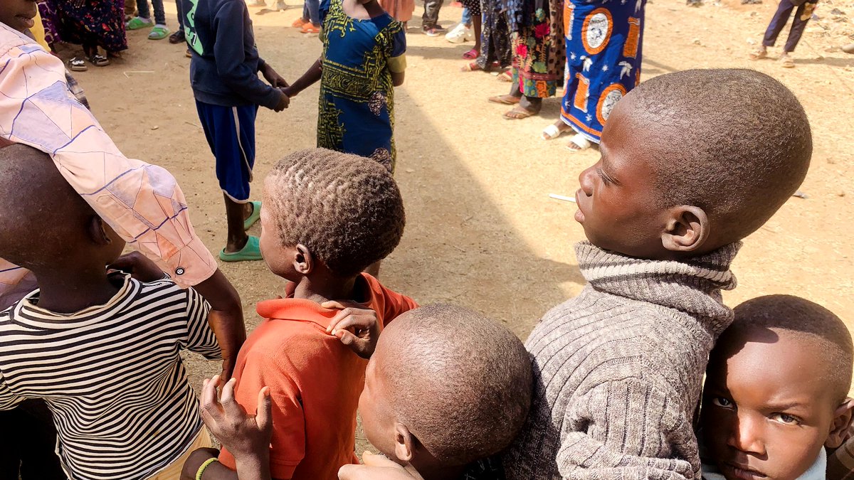 Poly Raiders Mint is LIVE!.tgn tweet media