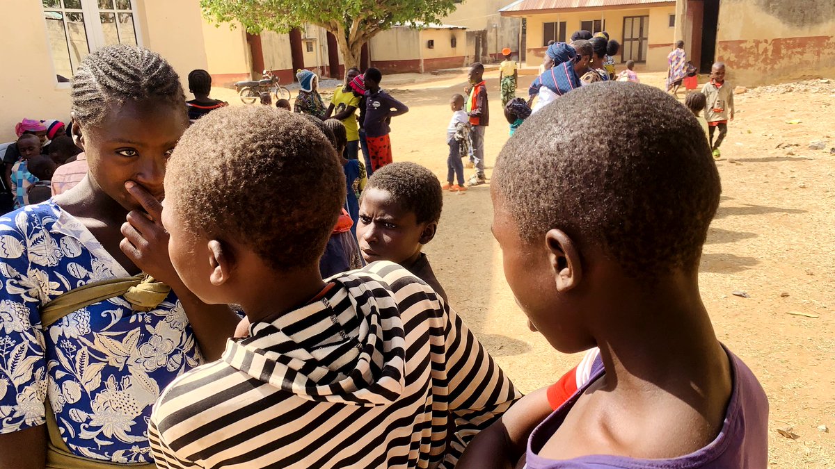 Poly Raiders Mint is LIVE!.tgn tweet media