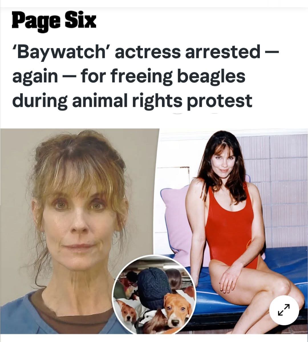 Claire Cheeseman tweet media