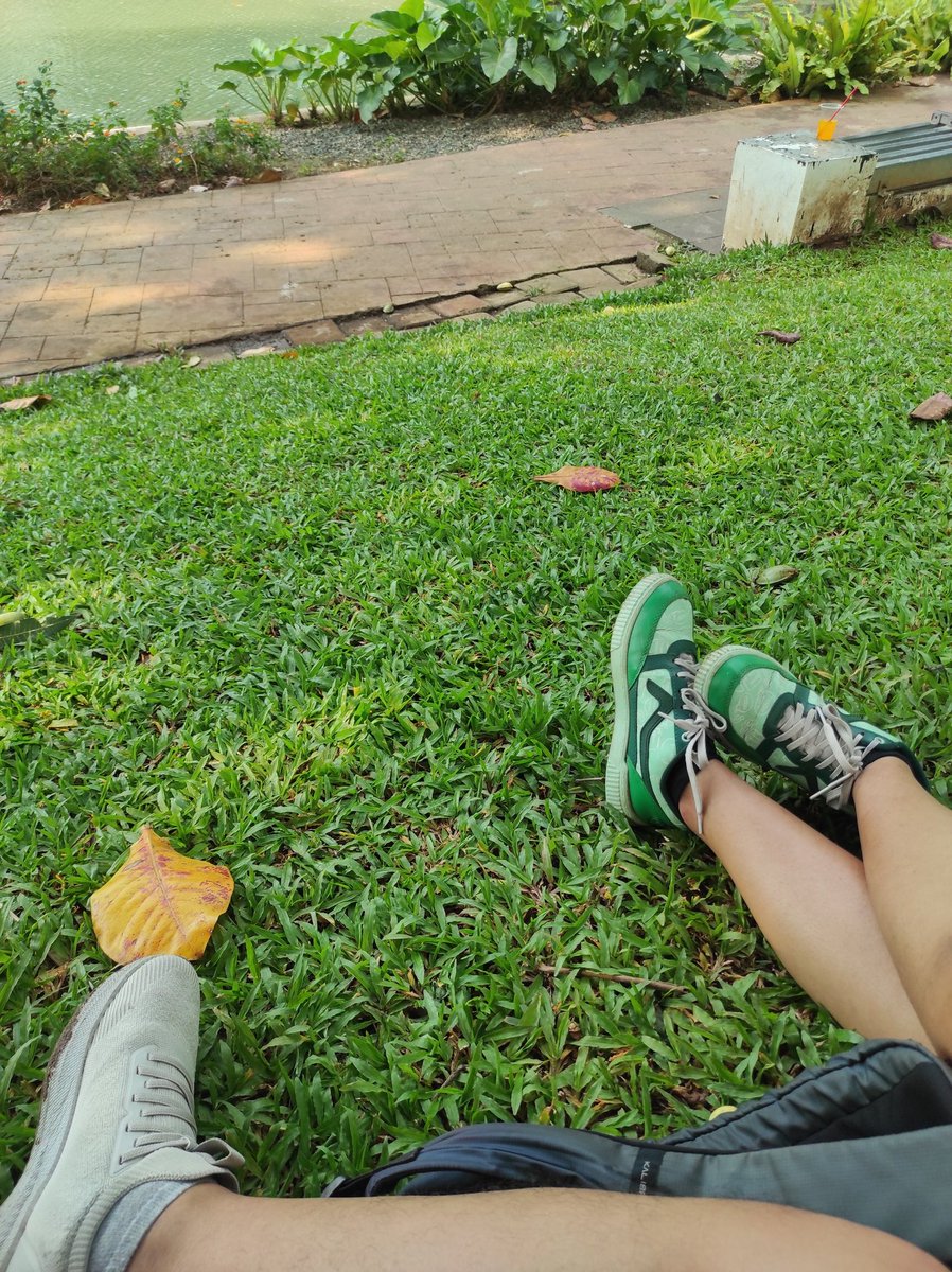 Txt Tata Kota - The Urbanist Zine tweet media