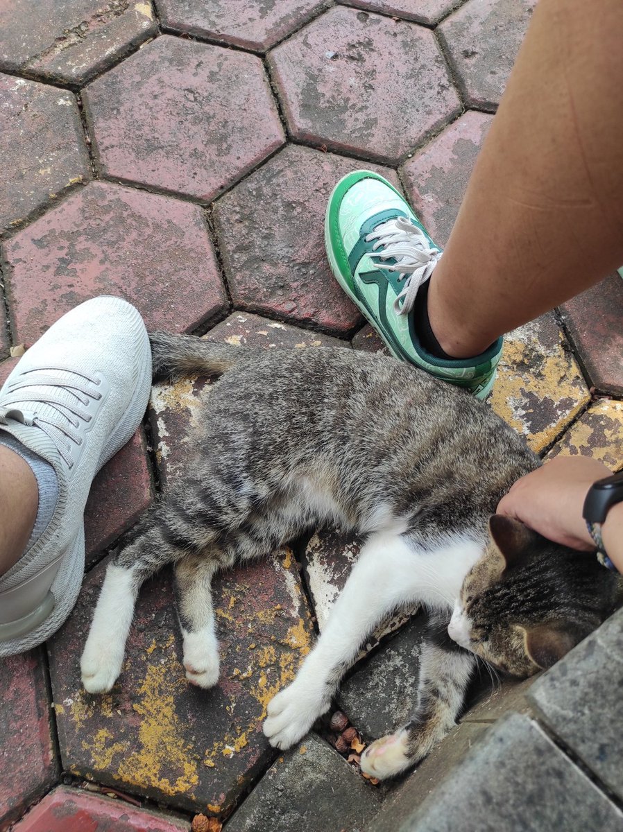 Txt Tata Kota - The Urbanist Zine tweet media