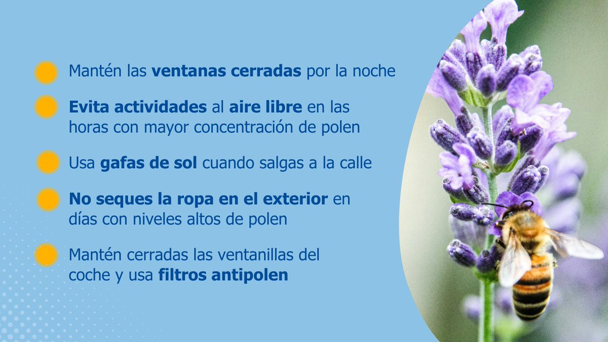 Salud_JCYL's tweet image. 🌼 Si tienes alergia al polen, algunos hábitos pueden ayudarte a reducir la exposición durante la época de polinización.

Consulta más recomendaciones y previsiones polínicas aquí 👇
saludcastillayleon.es/es/polen/polen…

#Alergia #Polen #Sacyl