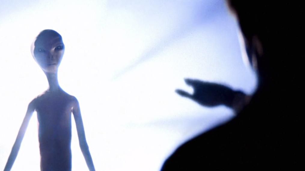 Daniel45 tweet media