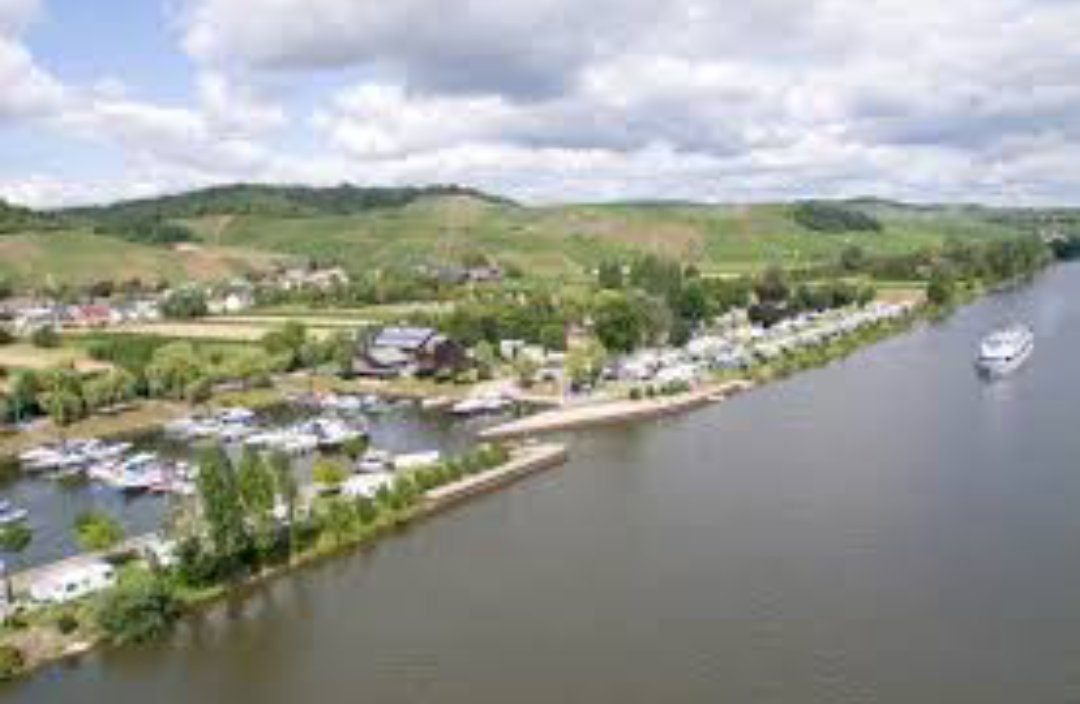 Şebnem Arda Boğa tweet media