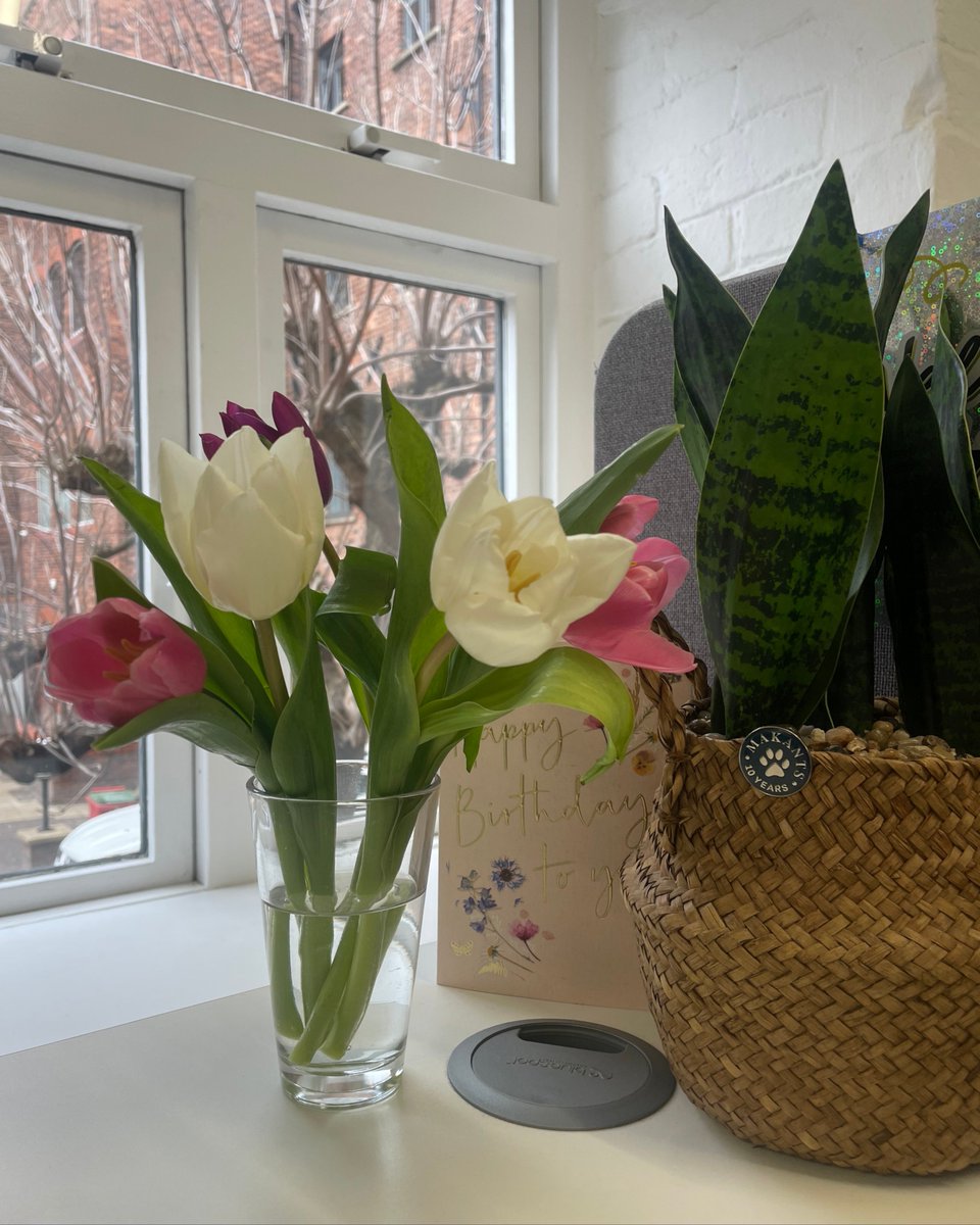 Prohibition PR tweet media